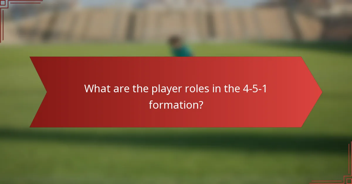 What are the player roles in the 4-5-1 formation?